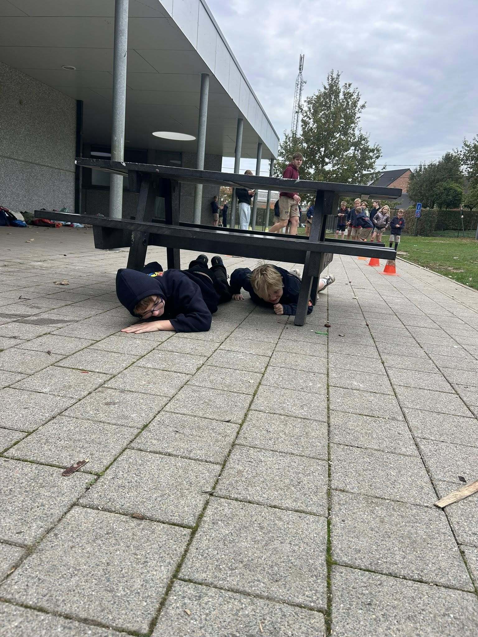 565687108 1255352513296557 574983933809361944 n